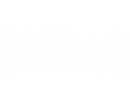 Alfa Forni